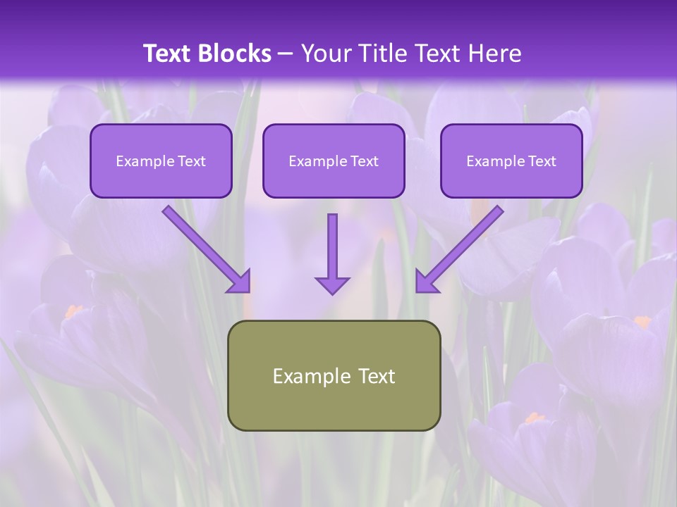 Nature White Bloom PowerPoint Template