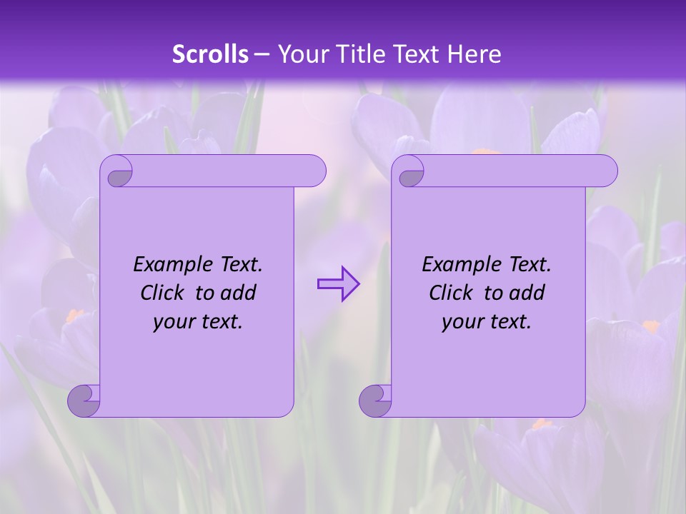 Nature White Bloom PowerPoint Template