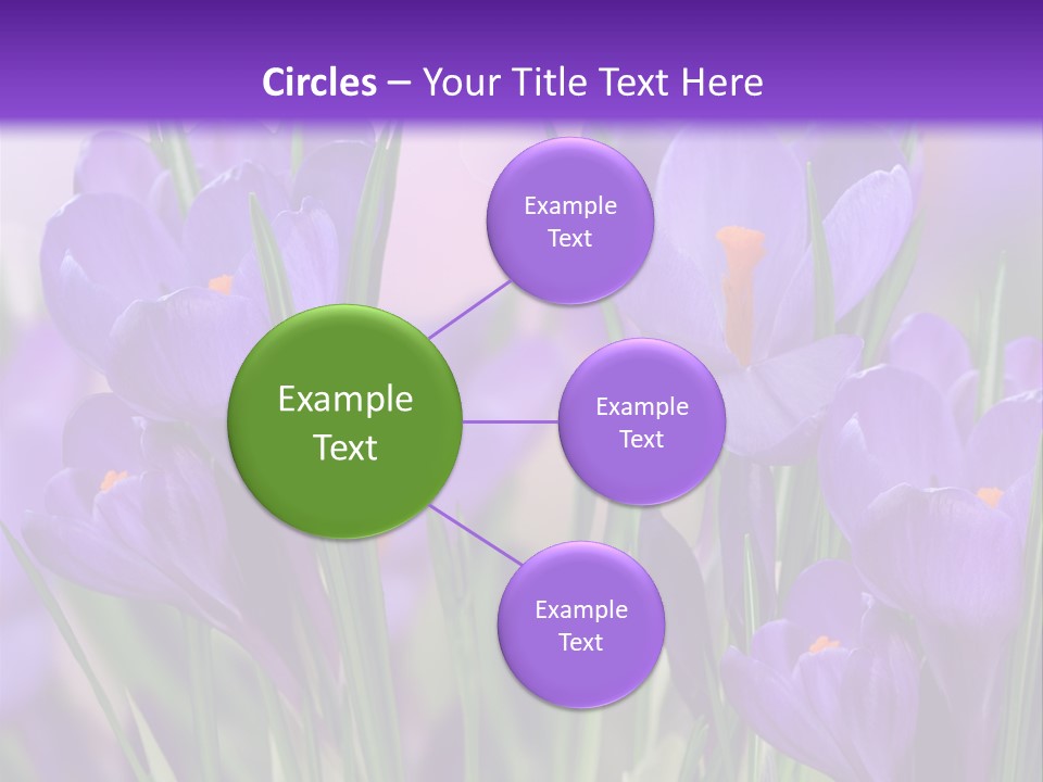 Nature White Bloom PowerPoint Template