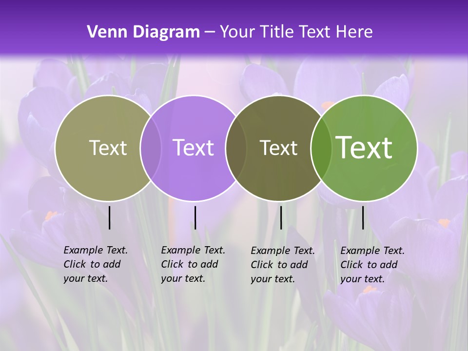 Nature White Bloom PowerPoint Template