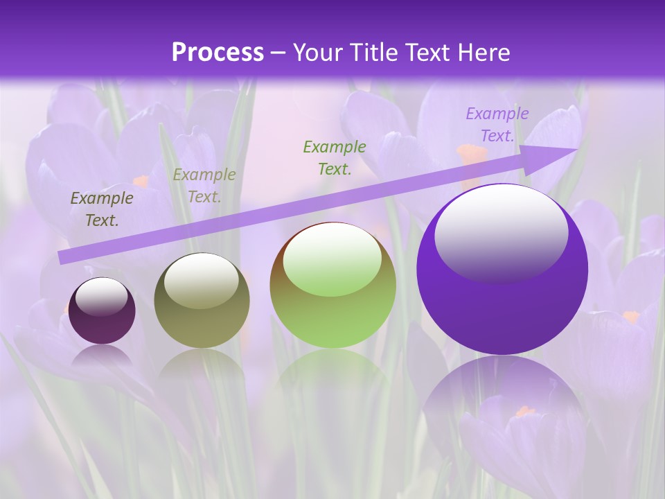 Nature White Bloom PowerPoint Template