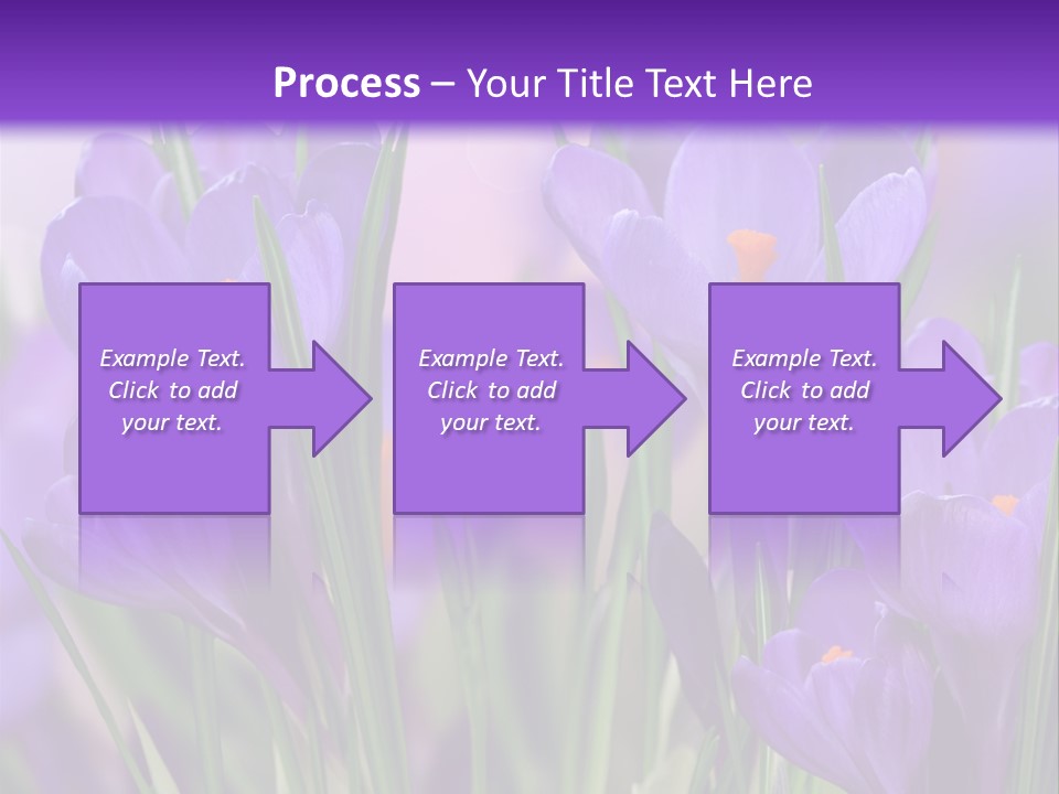 Nature White Bloom PowerPoint Template
