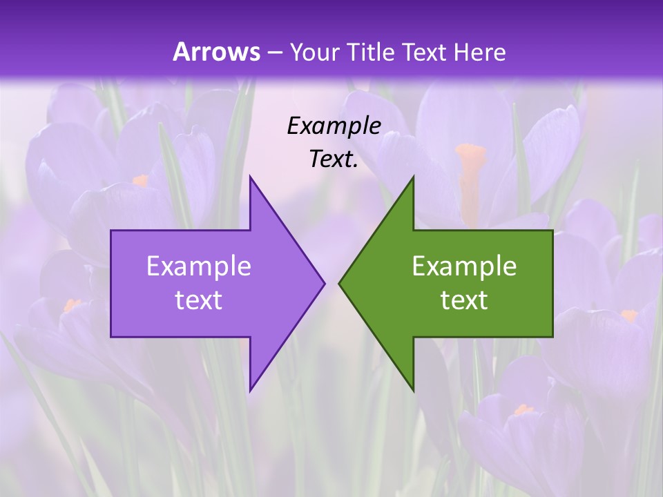 Nature White Bloom PowerPoint Template