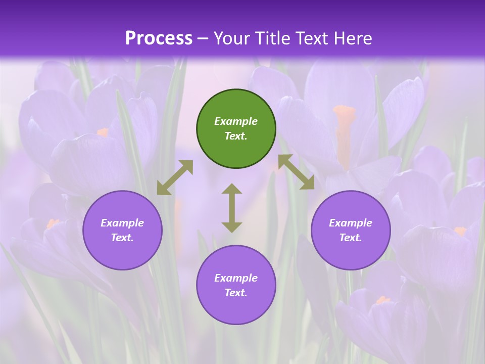 Nature White Bloom PowerPoint Template