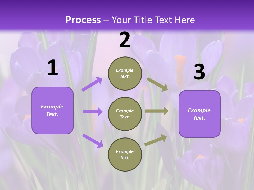 Nature White Bloom PowerPoint Template