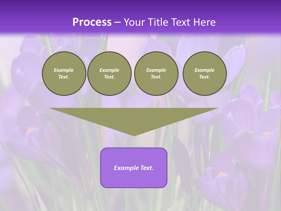 Nature White Bloom PowerPoint Template