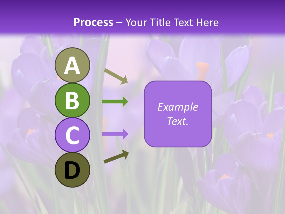 Nature White Bloom PowerPoint Template