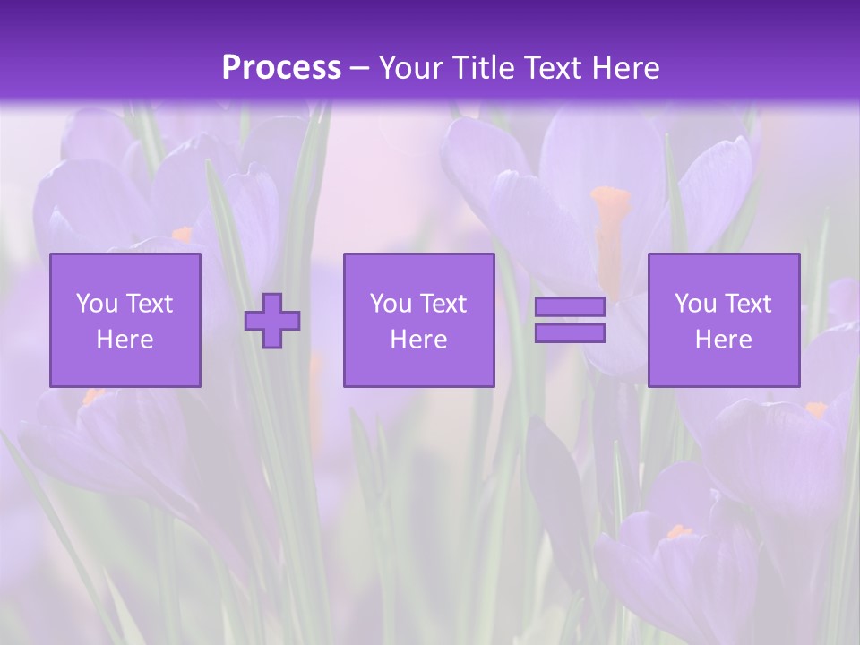 Nature White Bloom PowerPoint Template