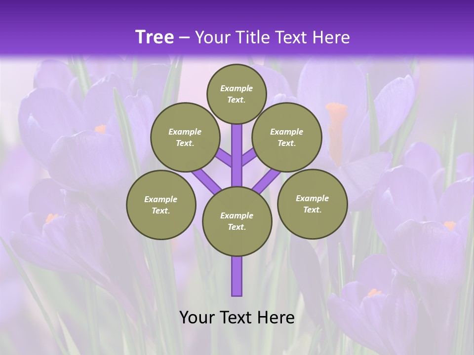 Nature White Bloom PowerPoint Template