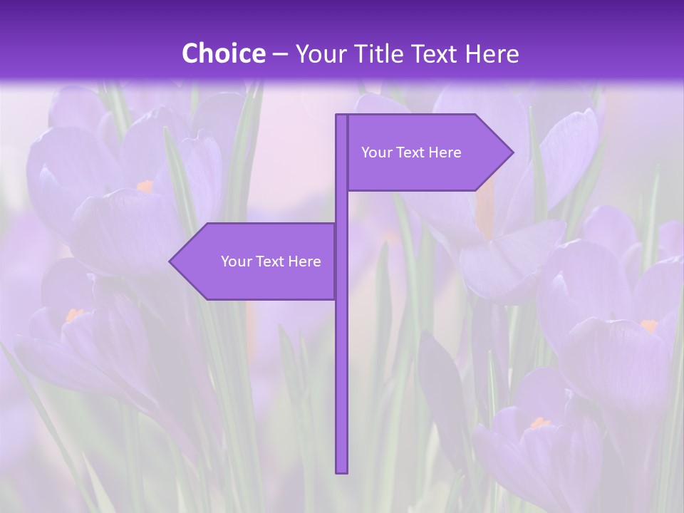 Nature White Bloom PowerPoint Template