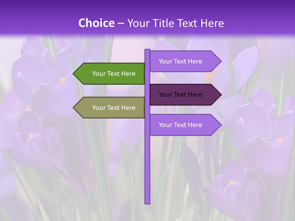 Nature White Bloom PowerPoint Template