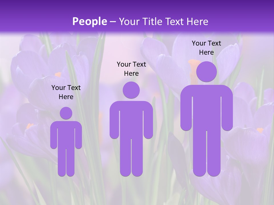 Nature White Bloom PowerPoint Template