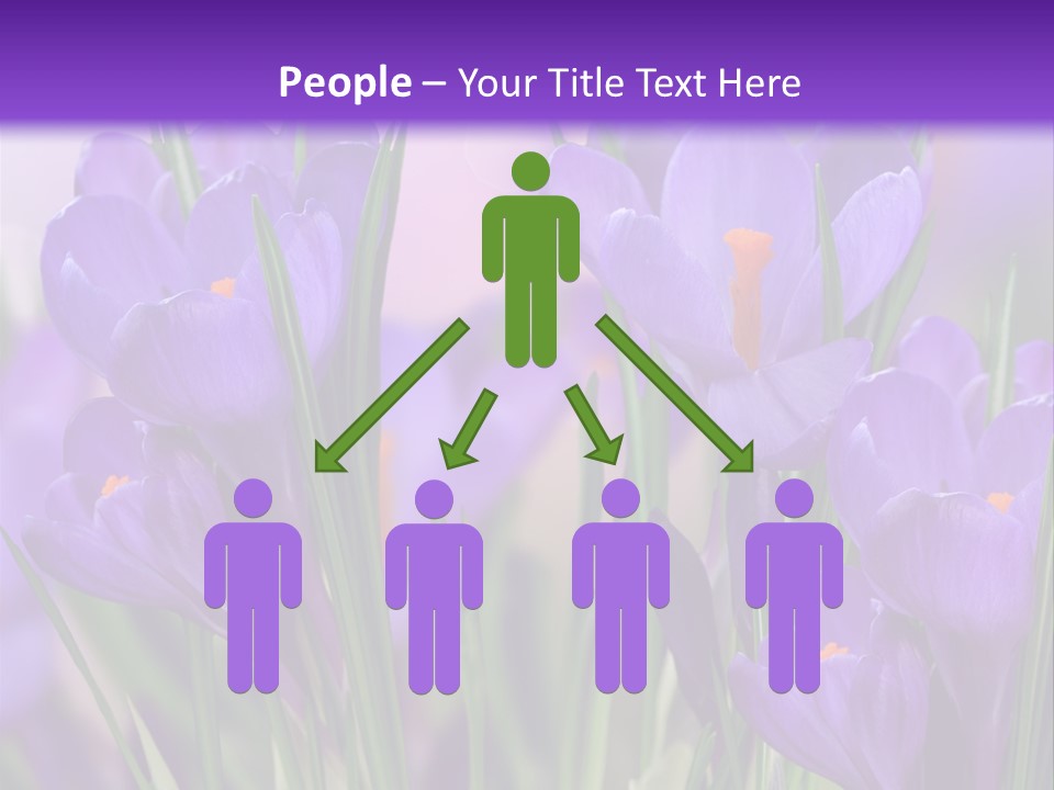 Nature White Bloom PowerPoint Template