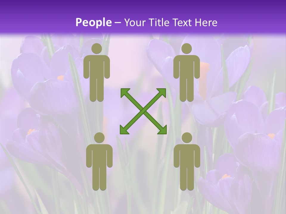 Nature White Bloom PowerPoint Template