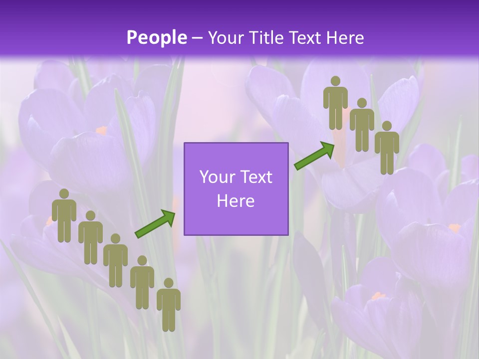 Nature White Bloom PowerPoint Template