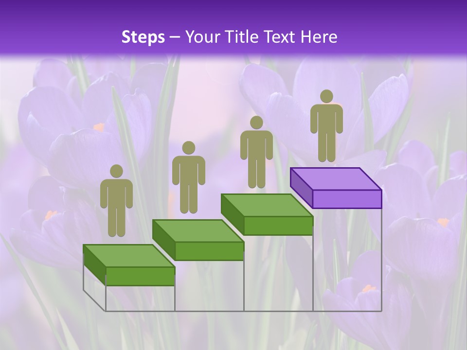 Nature White Bloom PowerPoint Template