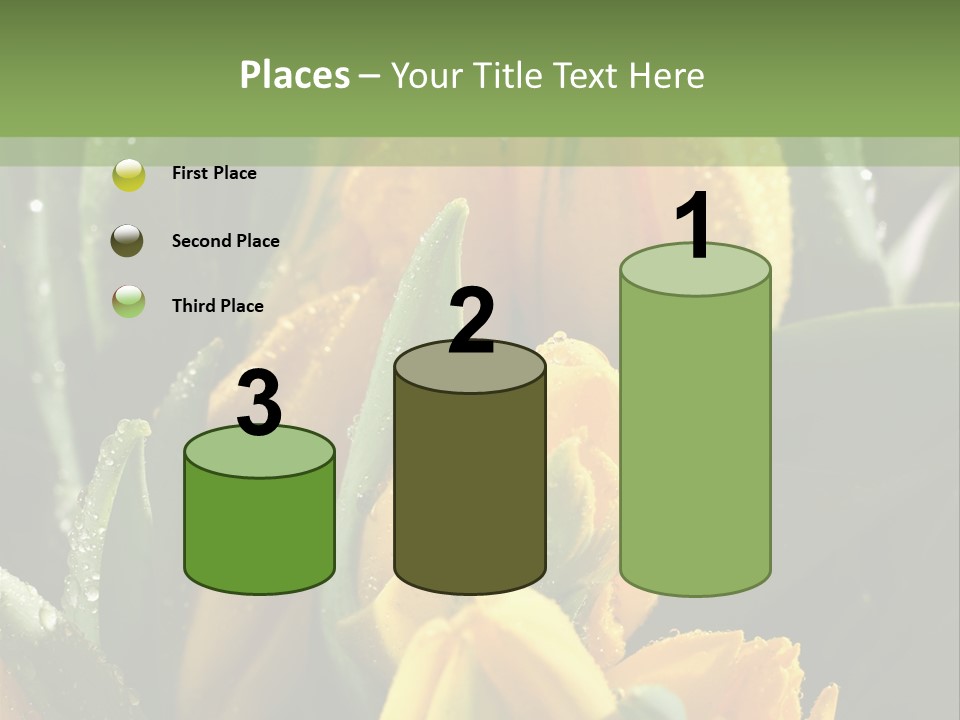 Conference Li Ten Bu Ine PowerPoint Template