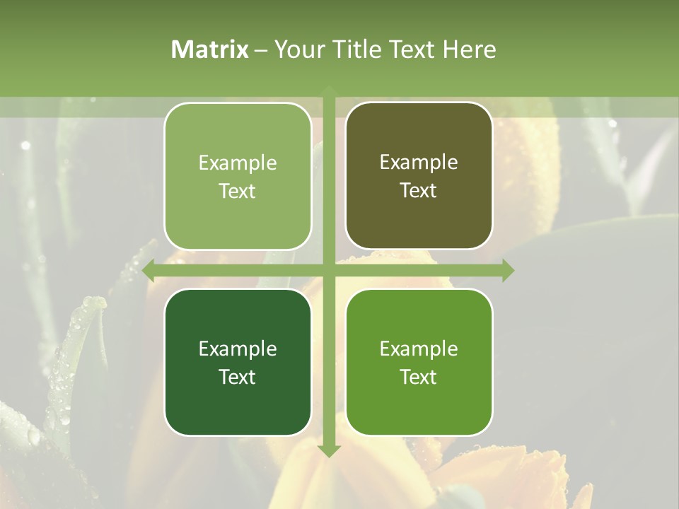 Conference Li Ten Bu Ine PowerPoint Template