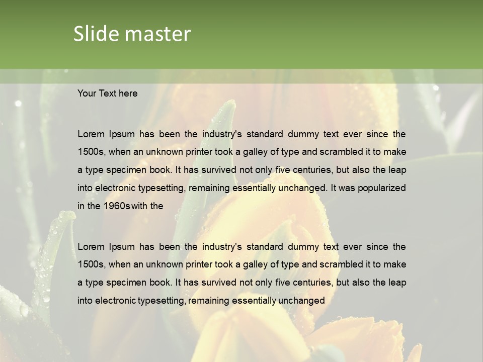 Conference Li Ten Bu Ine PowerPoint Template