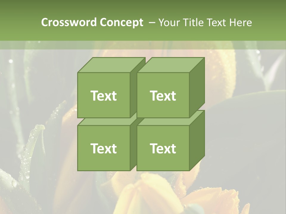 Conference Li Ten Bu Ine PowerPoint Template