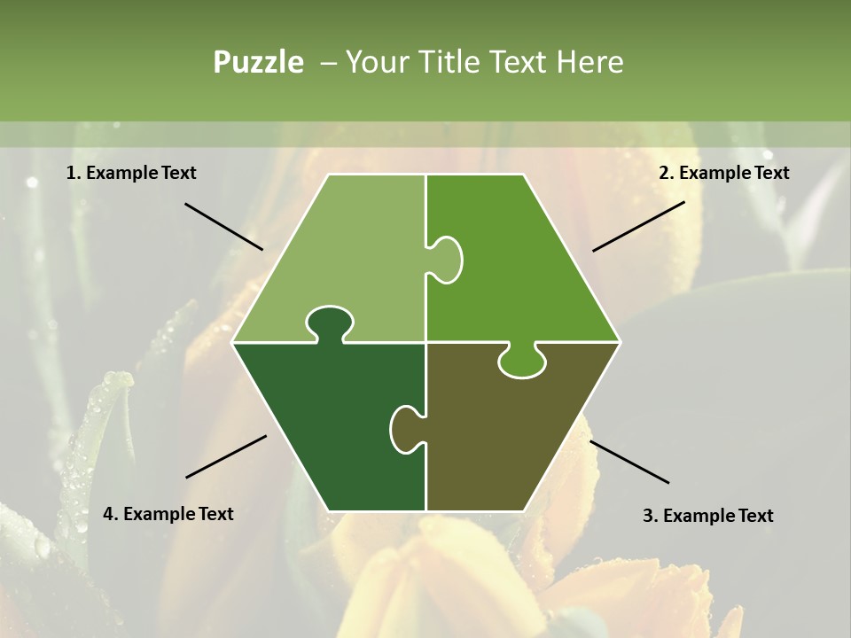 Conference Li Ten Bu Ine PowerPoint Template