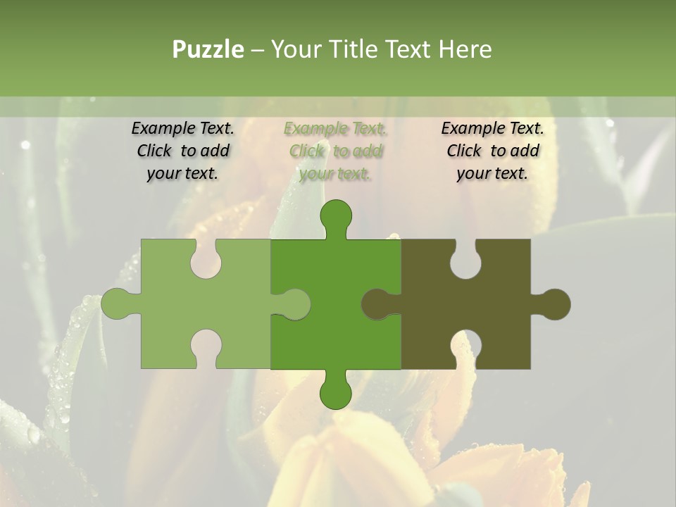 Conference Li Ten Bu Ine PowerPoint Template