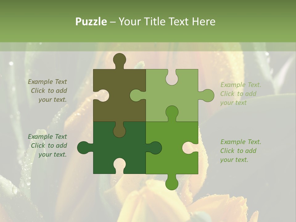 Conference Li Ten Bu Ine PowerPoint Template