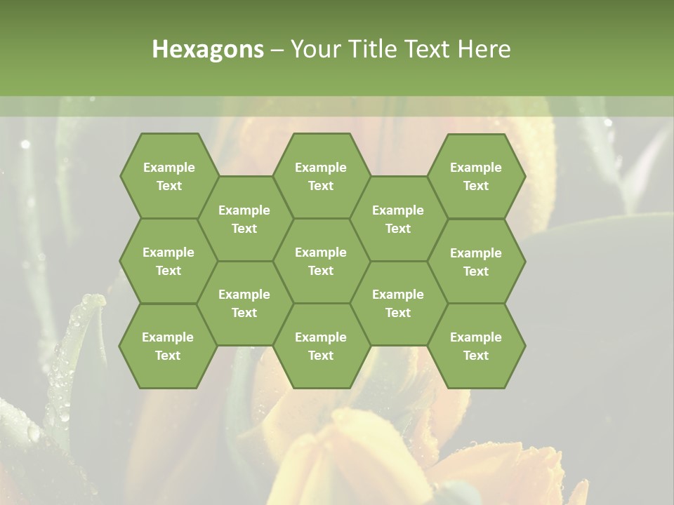 Conference Li Ten Bu Ine PowerPoint Template