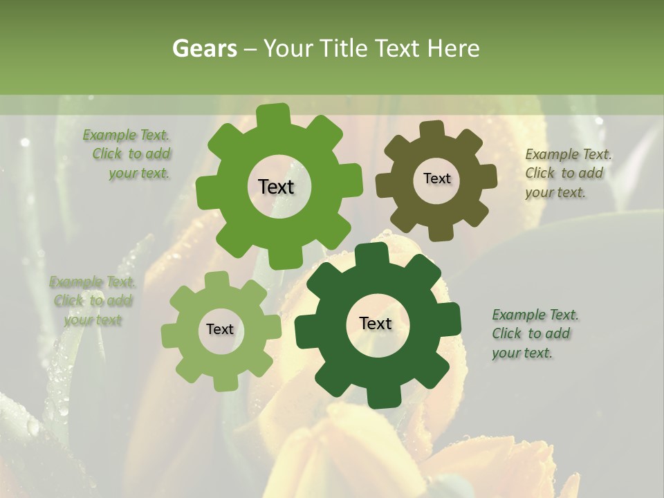 Conference Li Ten Bu Ine PowerPoint Template