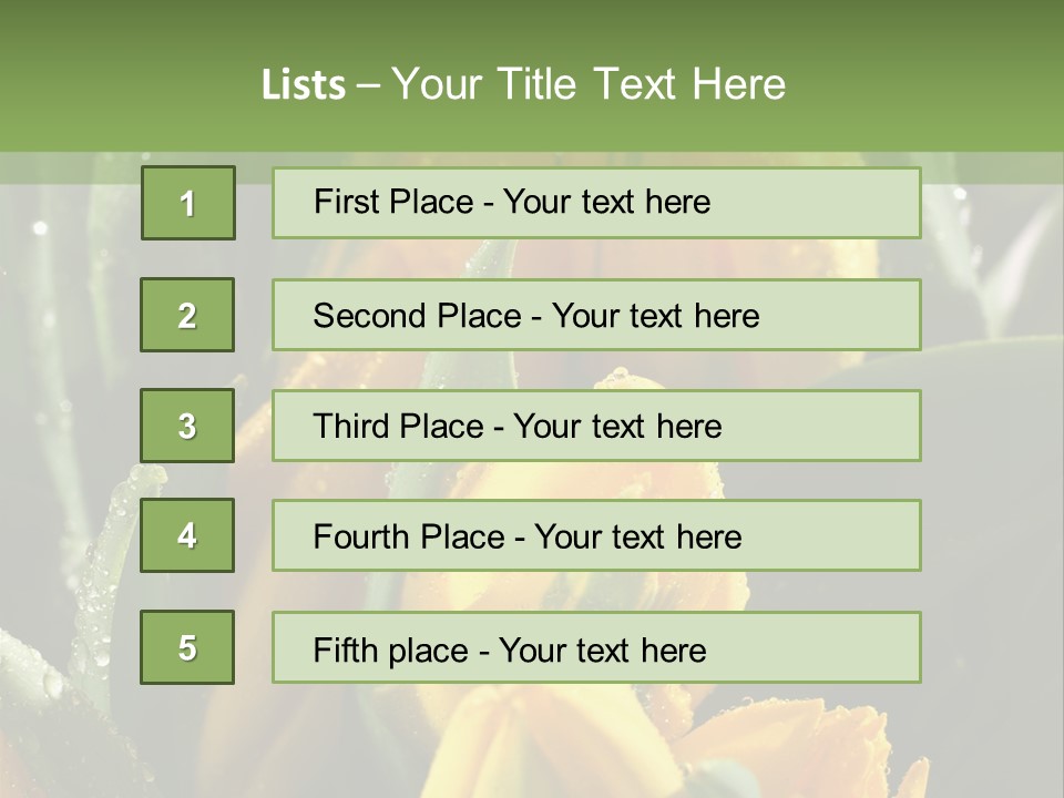 Conference Li Ten Bu Ine PowerPoint Template