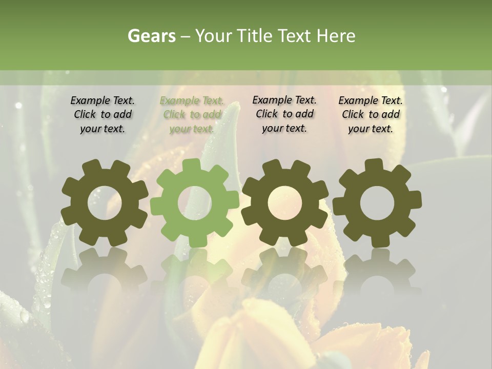 Conference Li Ten Bu Ine PowerPoint Template