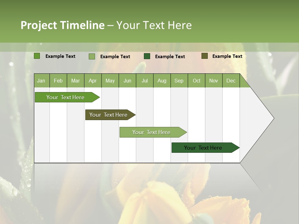 Conference Li Ten Bu Ine PowerPoint Template