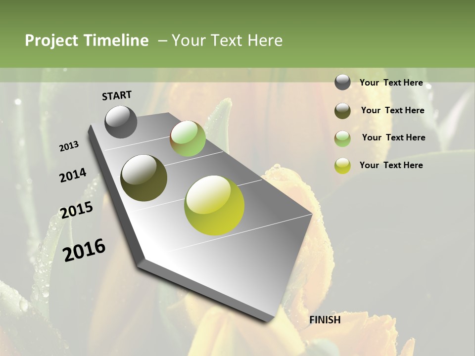Conference Li Ten Bu Ine PowerPoint Template