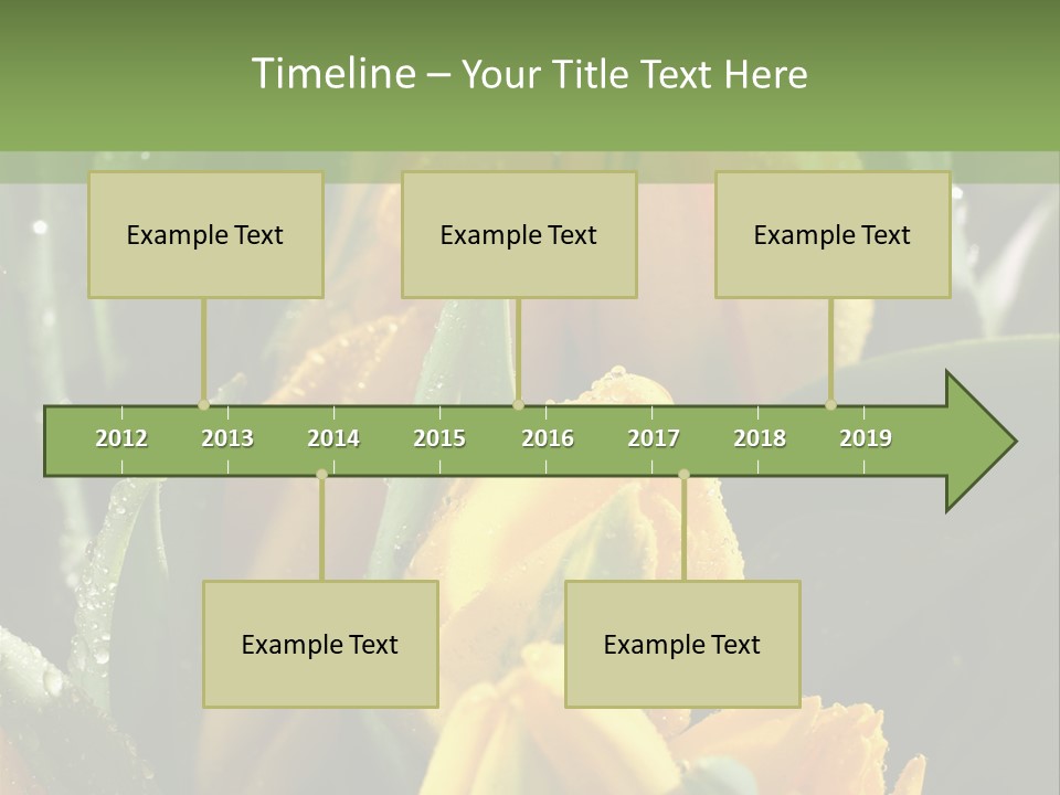Conference Li Ten Bu Ine PowerPoint Template