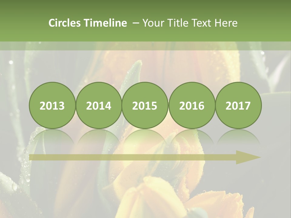 Conference Li Ten Bu Ine PowerPoint Template