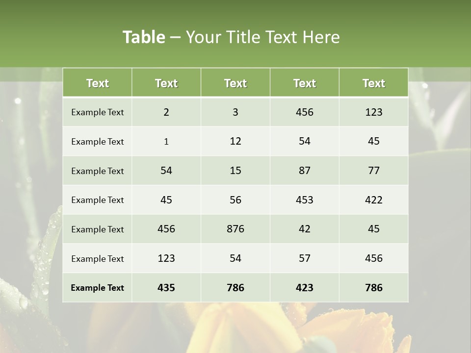 Conference Li Ten Bu Ine PowerPoint Template