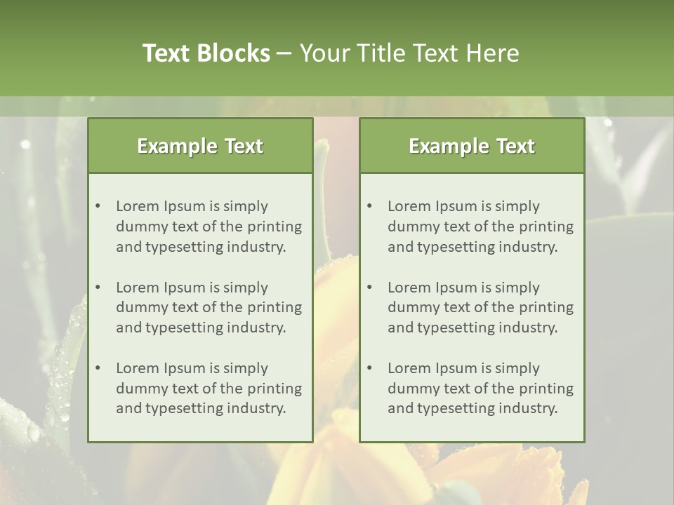 Conference Li Ten Bu Ine PowerPoint Template