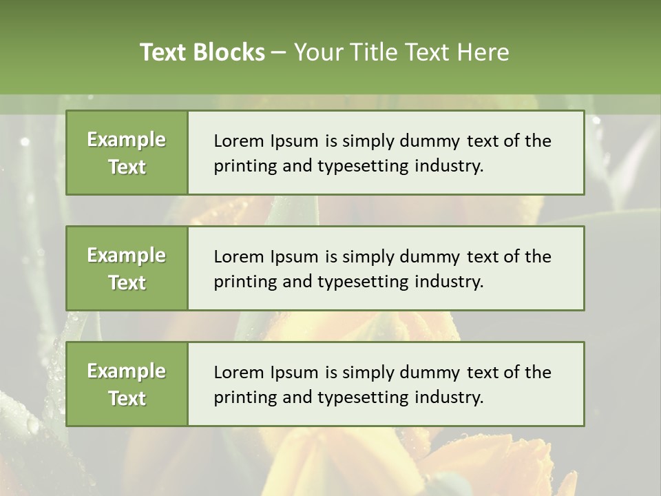Conference Li Ten Bu Ine PowerPoint Template