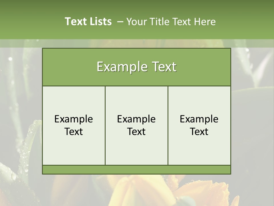 Conference Li Ten Bu Ine PowerPoint Template
