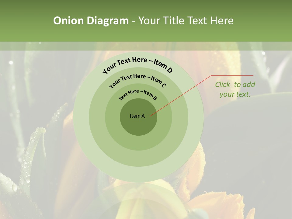 Conference Li Ten Bu Ine PowerPoint Template