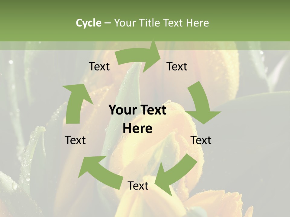 Conference Li Ten Bu Ine PowerPoint Template