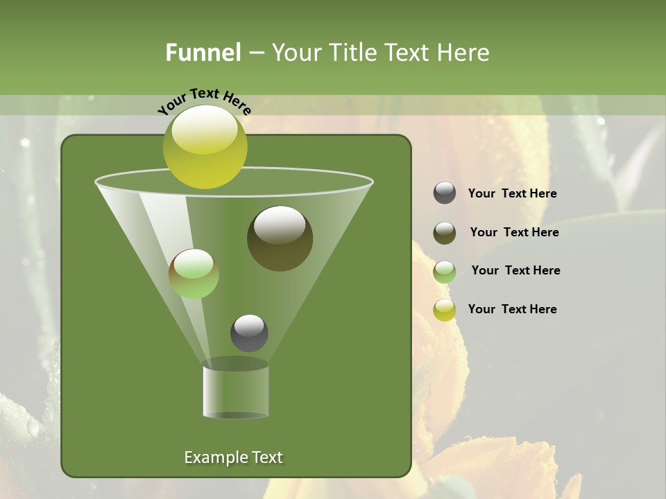 Conference Li Ten Bu Ine PowerPoint Template