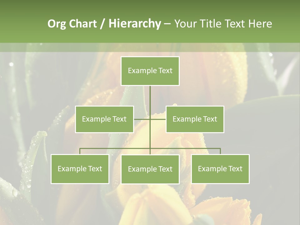 Conference Li Ten Bu Ine PowerPoint Template