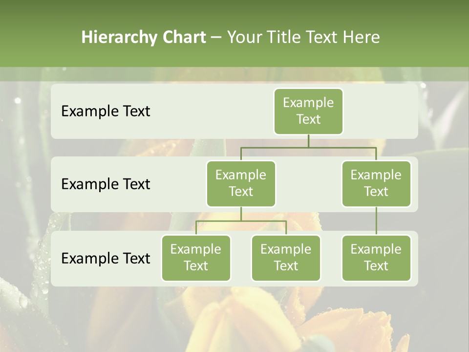 Conference Li Ten Bu Ine PowerPoint Template