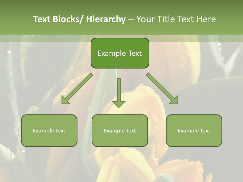 Conference Li Ten Bu Ine PowerPoint Template