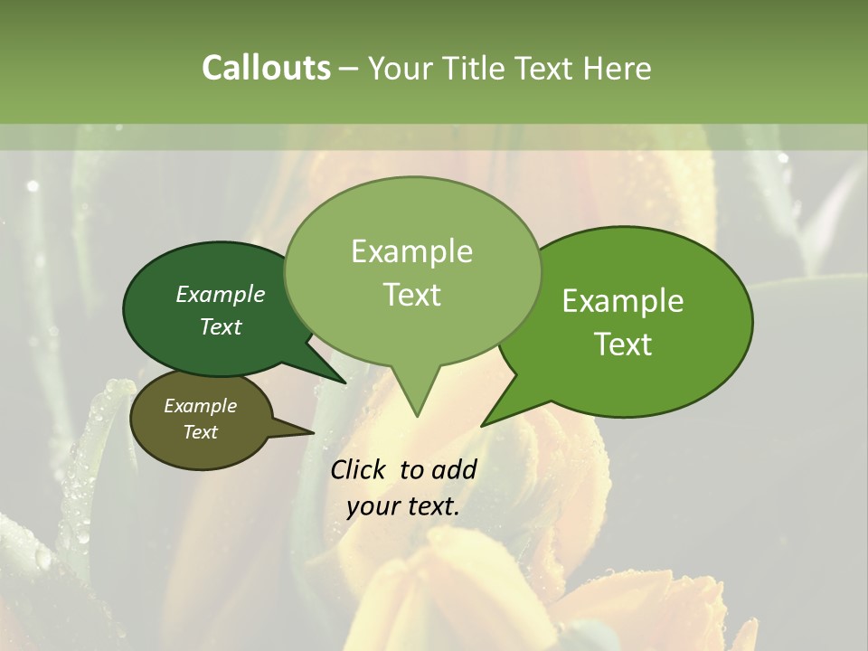 Conference Li Ten Bu Ine PowerPoint Template