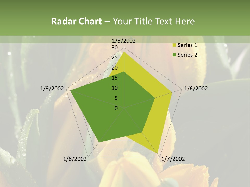 Conference Li Ten Bu Ine PowerPoint Template