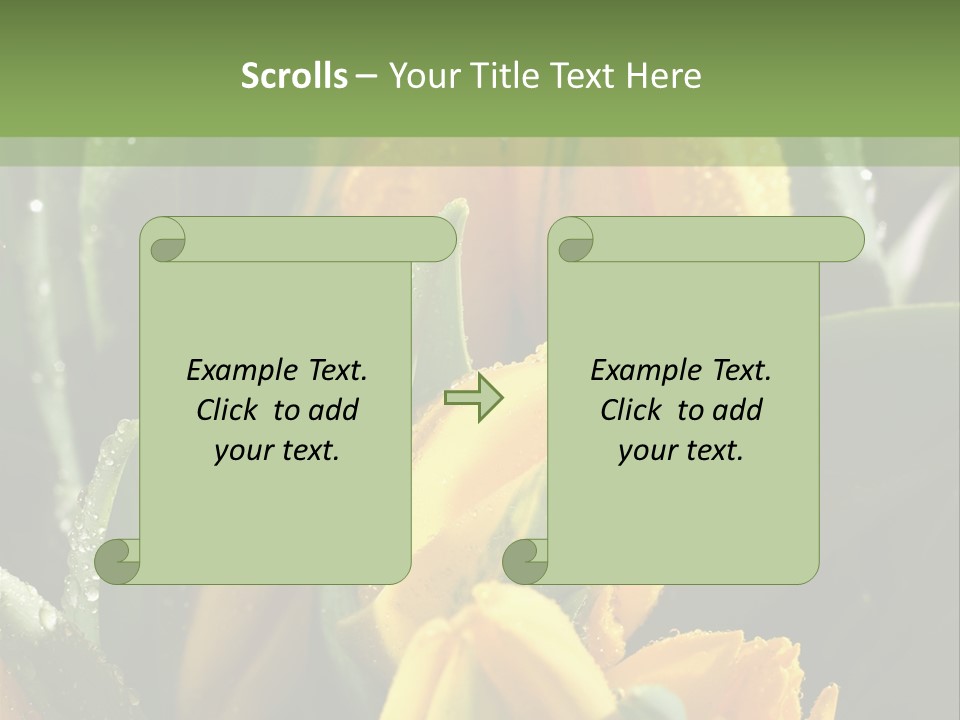 Conference Li Ten Bu Ine PowerPoint Template