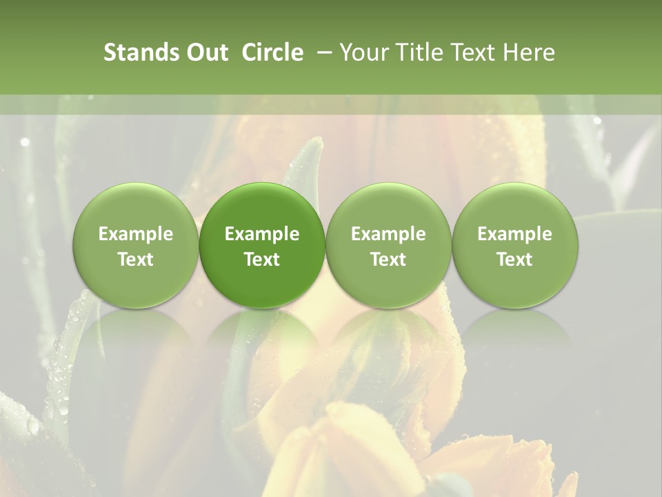 Conference Li Ten Bu Ine PowerPoint Template