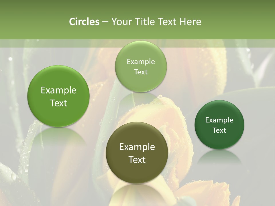Conference Li Ten Bu Ine PowerPoint Template